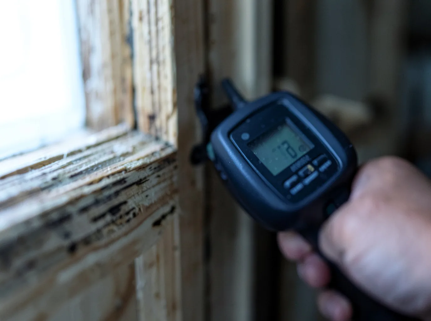 Moisture Inspection And Documentation in Steuben, WI